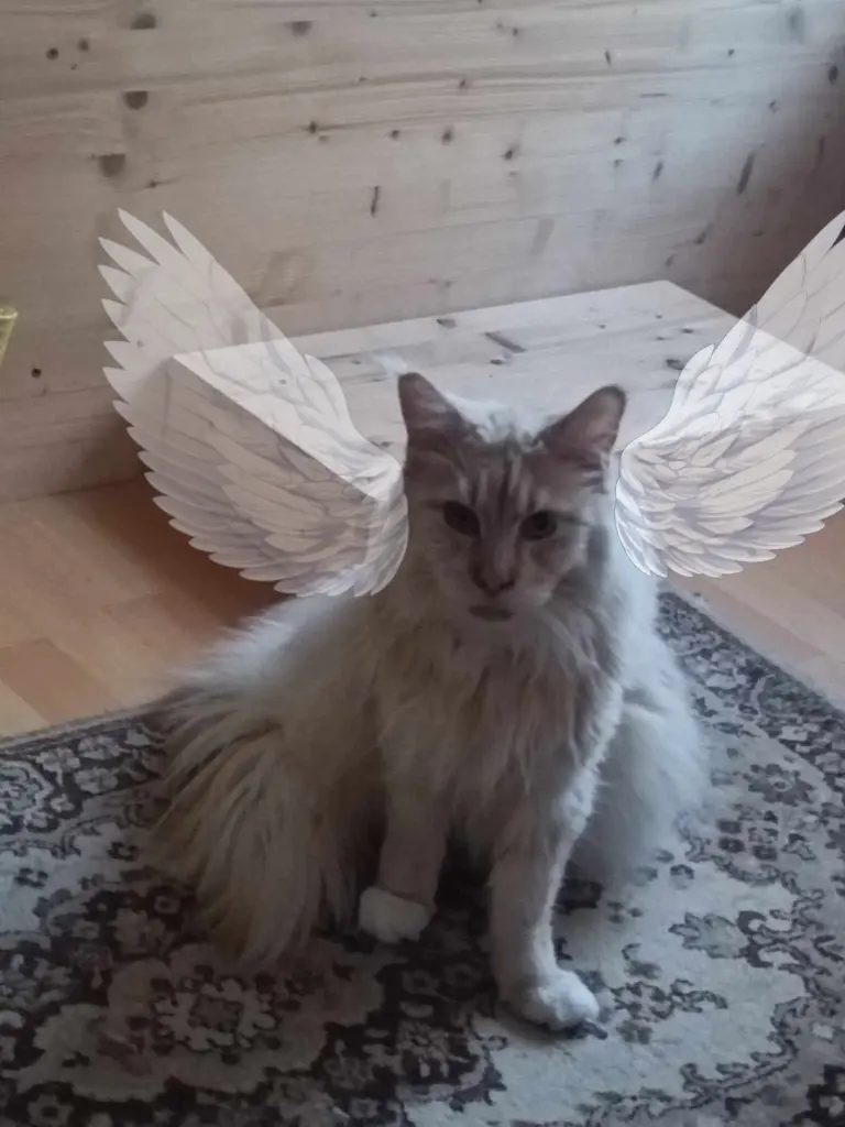 Condolence image of Vonny