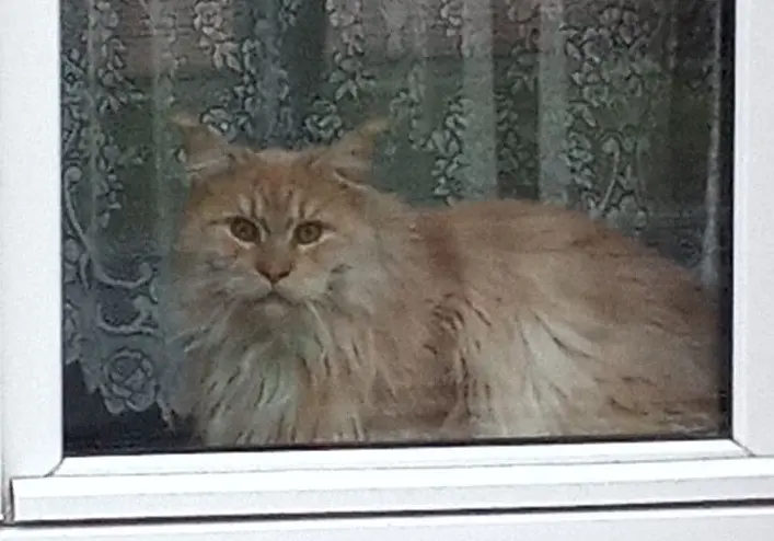 Condolence image of Vonny