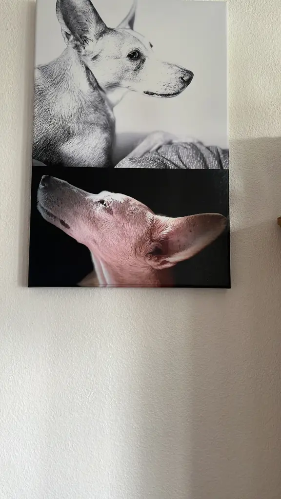 Image from Narla