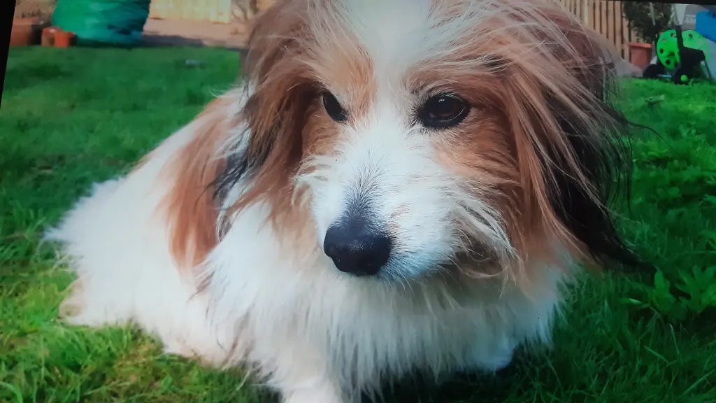 Condolence image of Christiane