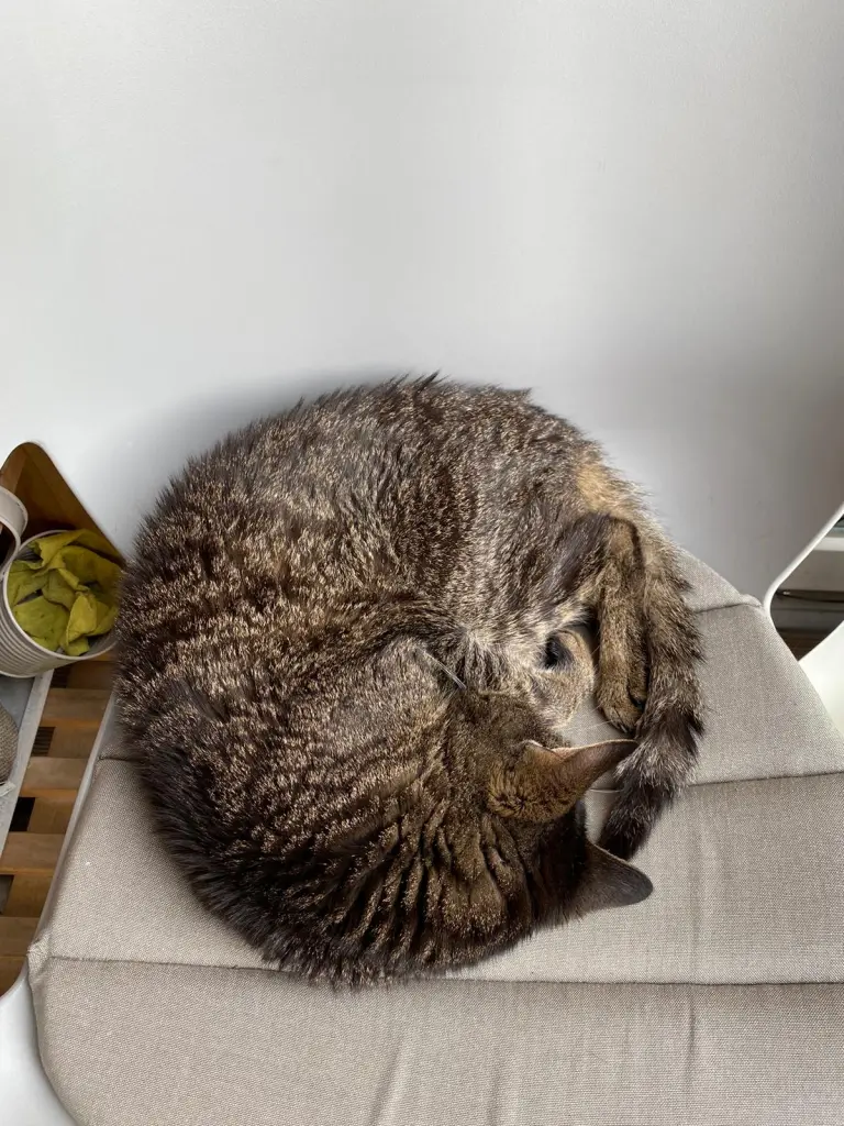 Condolence image of Dorothee und Klaus