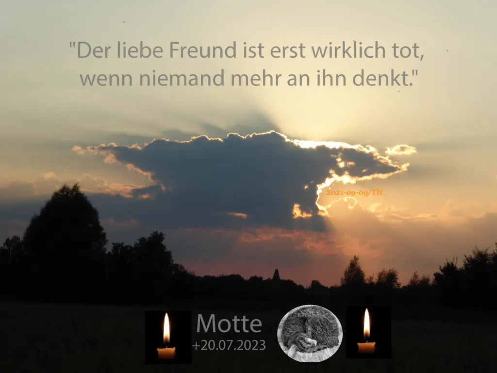 Condolence image of Tina