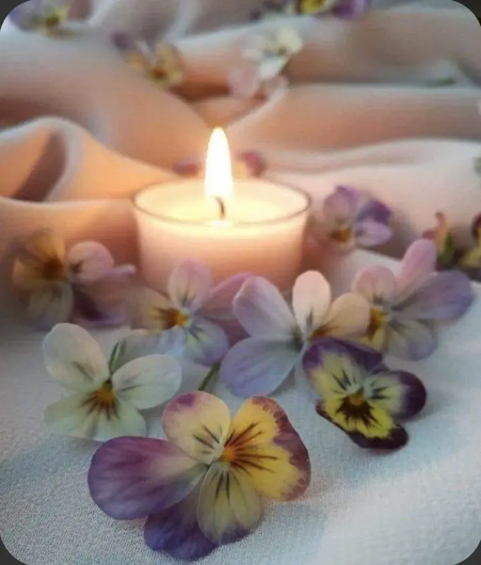 Condolence image of Für die geliebte Samtpfote Theia ♥️⭐♥️