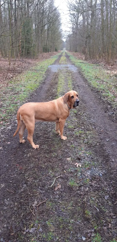Condolence image of Silke mit Cara Luna im Herzen