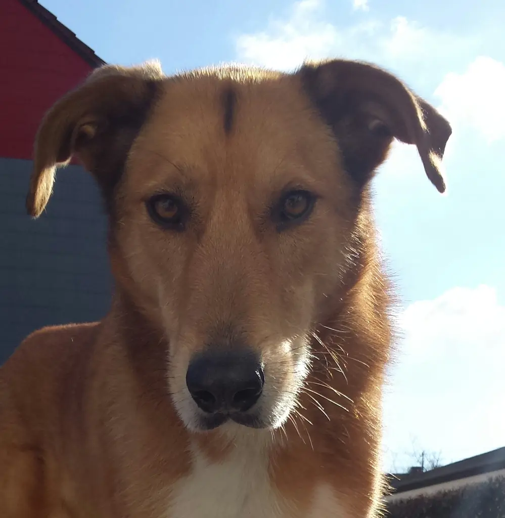 Condolence image of Manfred mit Masai im Herzen