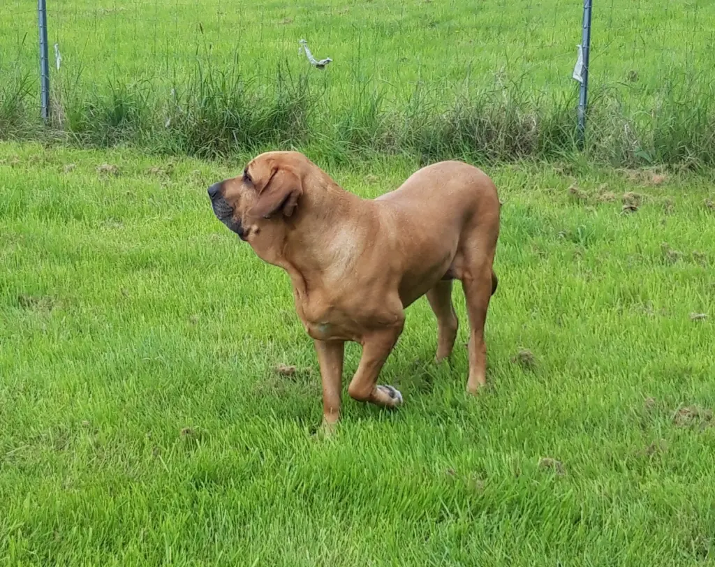 Image from Cara Luna