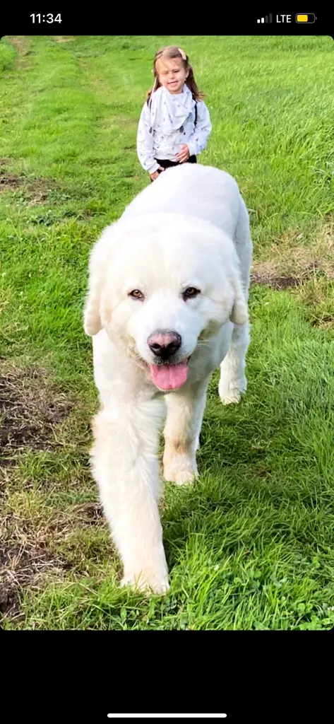 Condolence image of Unbekannt