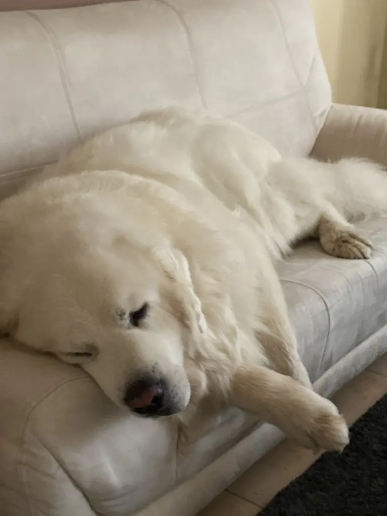 Condolence image of Jolanta