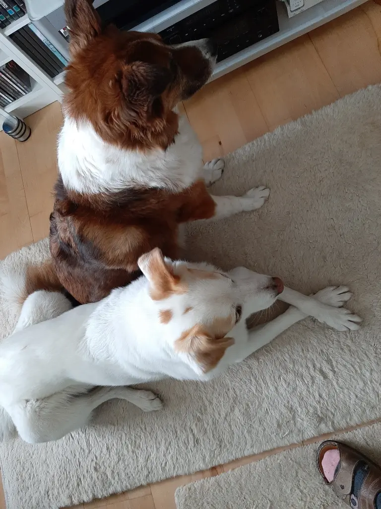 Andachtsbild von Heike