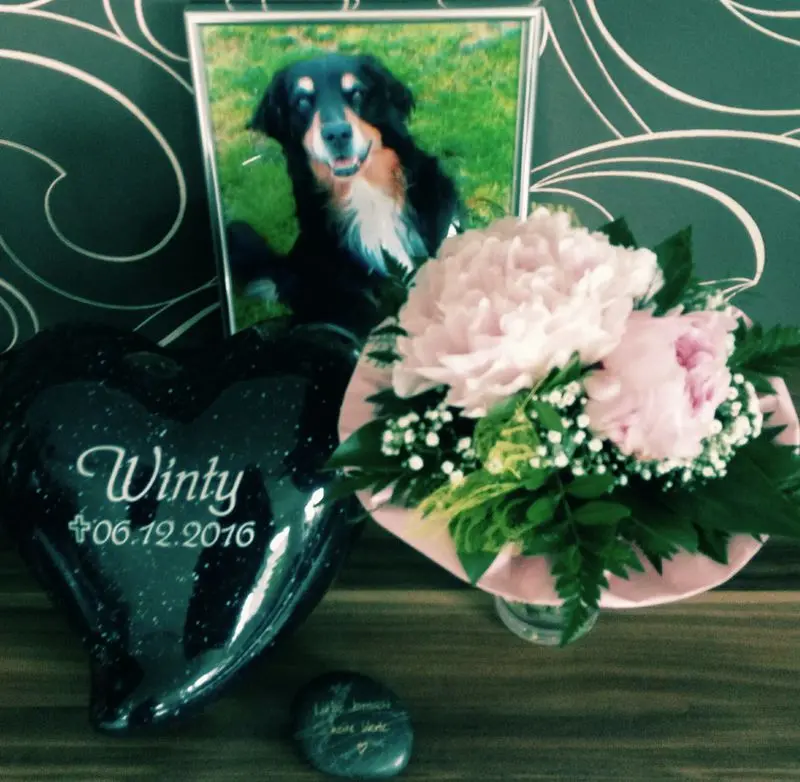 Image from Winty