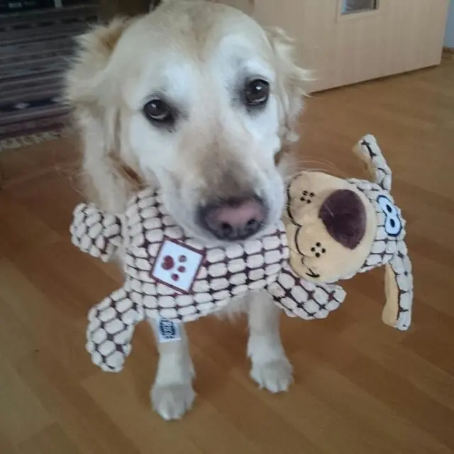 Condolence image of Unbekannt