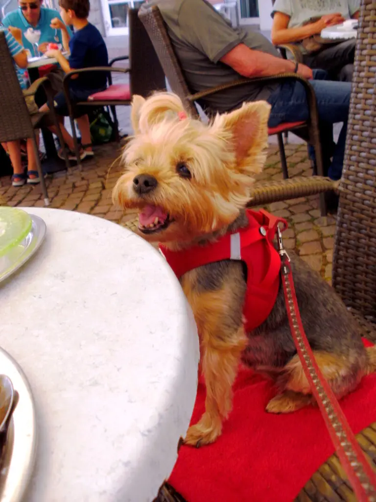 Condolence image of Jörg Fischer