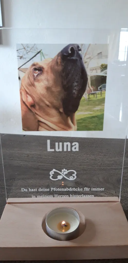 Condolence image of Silke mit Cara Luna im Herzen