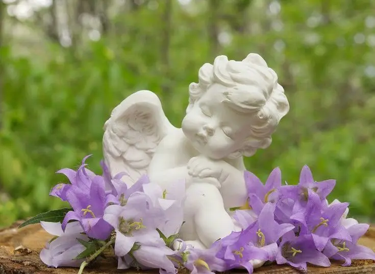 Condolence image of Martina mit Seelenhund Samy ♥️⭐♥️ für immer im Herzen