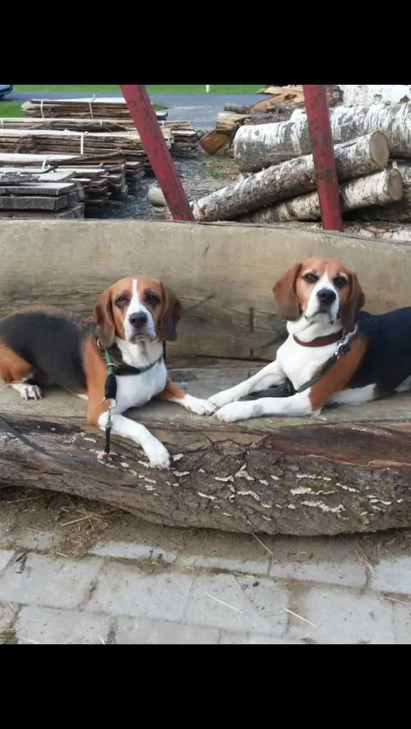 Condolence image of Jaclyn