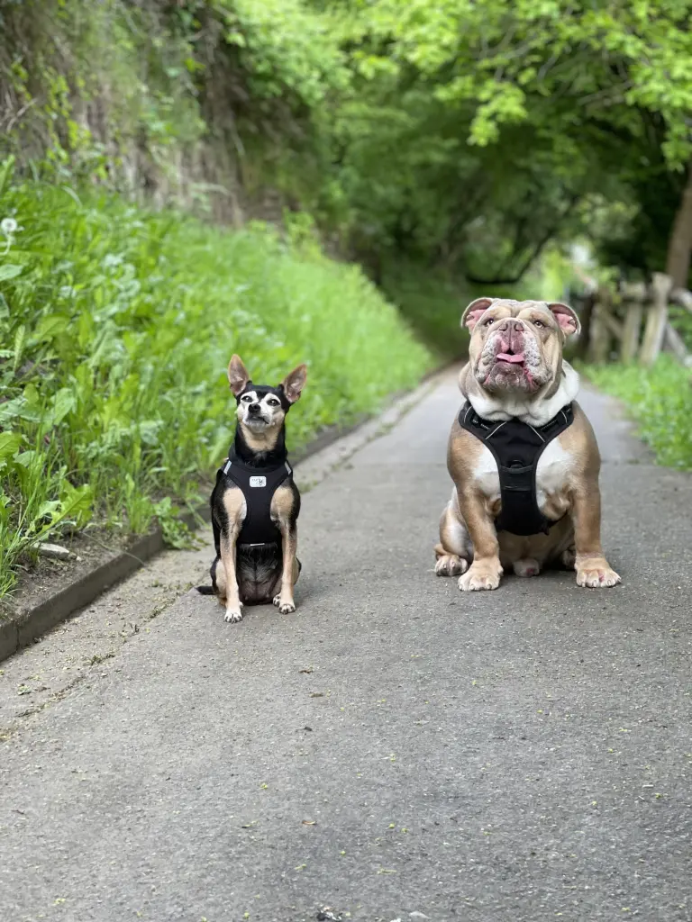 Condolence image of Nicol