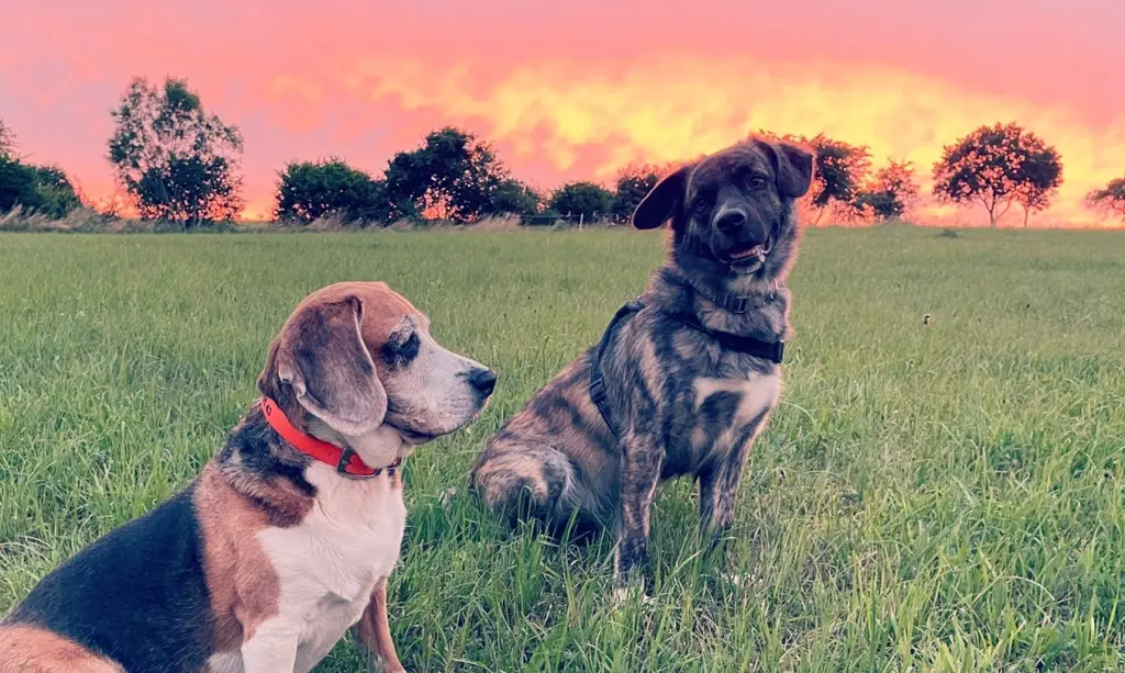 Condolence image of Jessy, Romina und Emmi