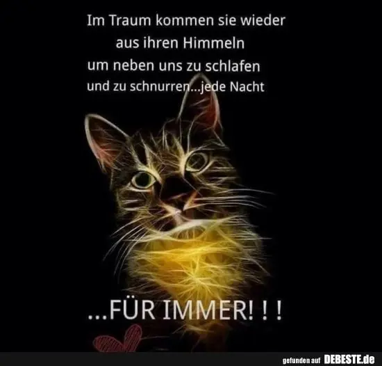 Condolence image of Jutta mit Carli im Herzen ❤️ 