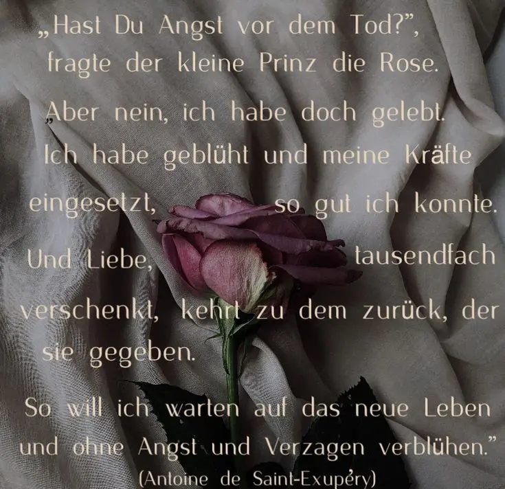 Condolence image of Aus dem Regenbogenland ♥️