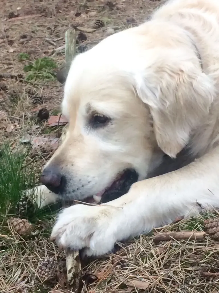 Condolence image of Andy und Piet