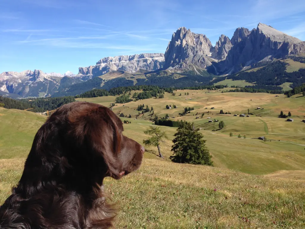 Condolence image of Burkhard