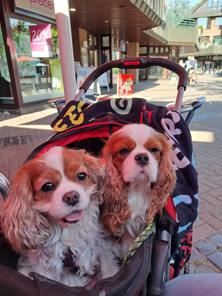 Condolence image of Martina Gersbach