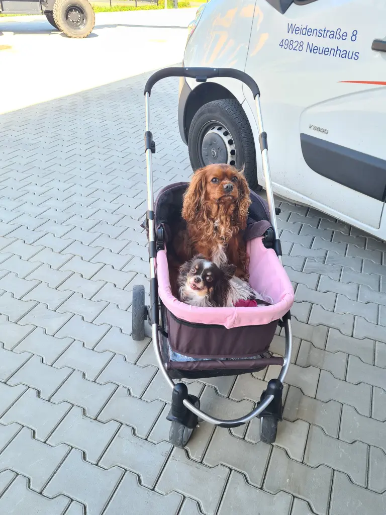 Condolence image of Petra  Schimmel 