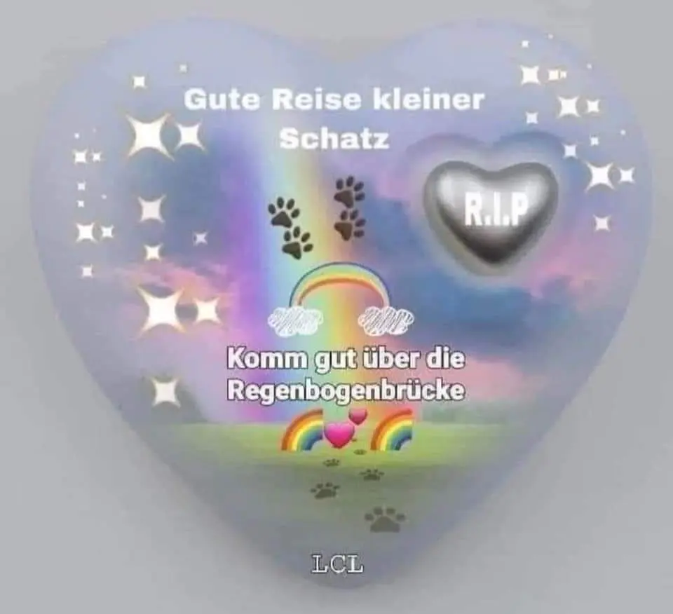 Condolence image of Alexandra 