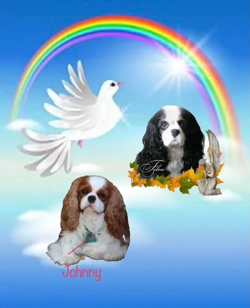 Condolence image of Daniela  Weirauch 