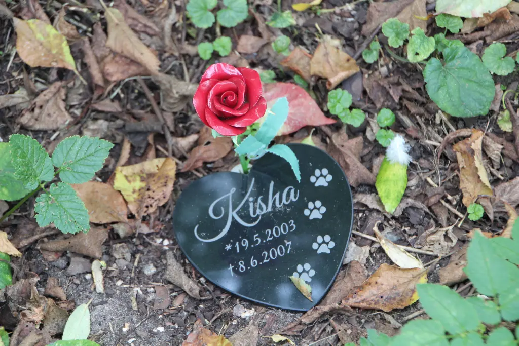 Andachtsbild von Charlotte