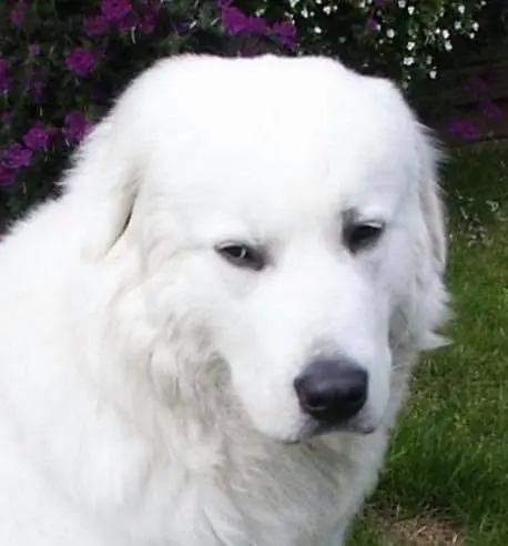 Andachtsbild von Charlotte Methfessel