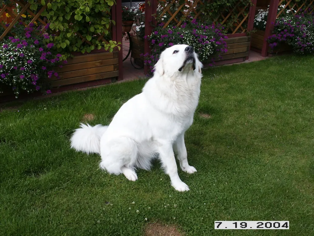 Andachtsbild von Charlotte Methfessel