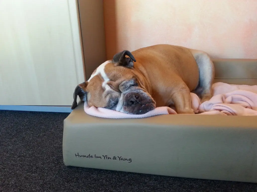 Condolence image of Grit und Emma im Herzen