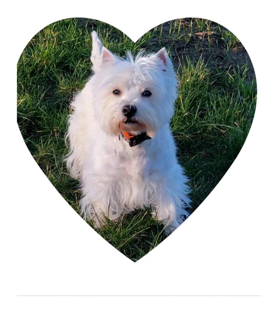 Image from Liesbeth