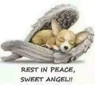 Condolence image of Nionila Anka  Ortmann 