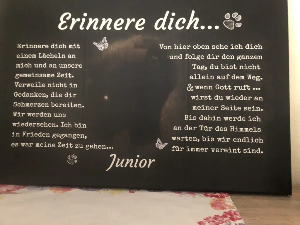 Image from Junior