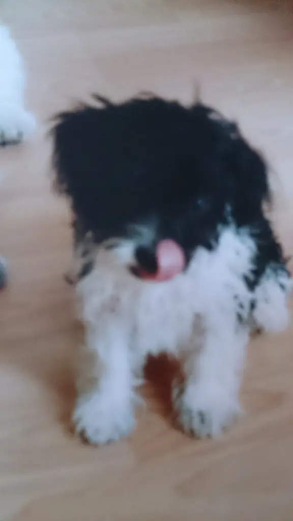 Andachtsbild von Sigrid 