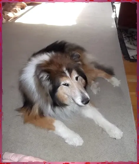 Bild von Benny