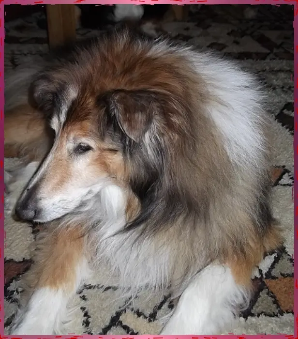 Bild von Benny