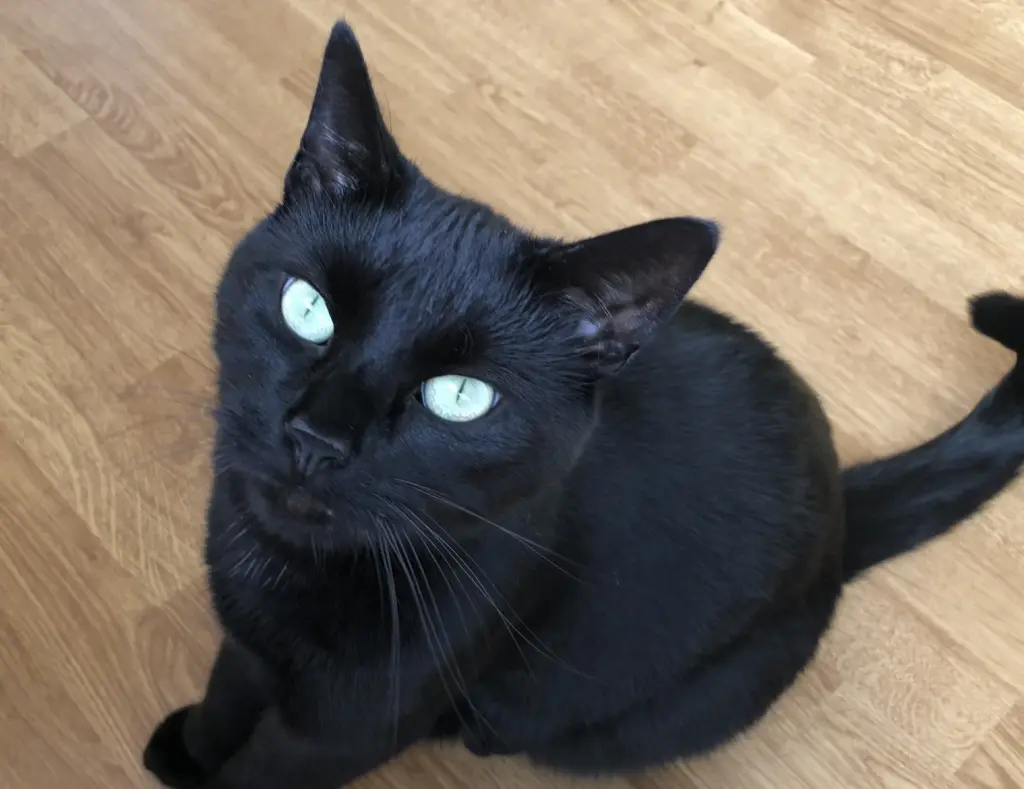 Condolence image of Rico