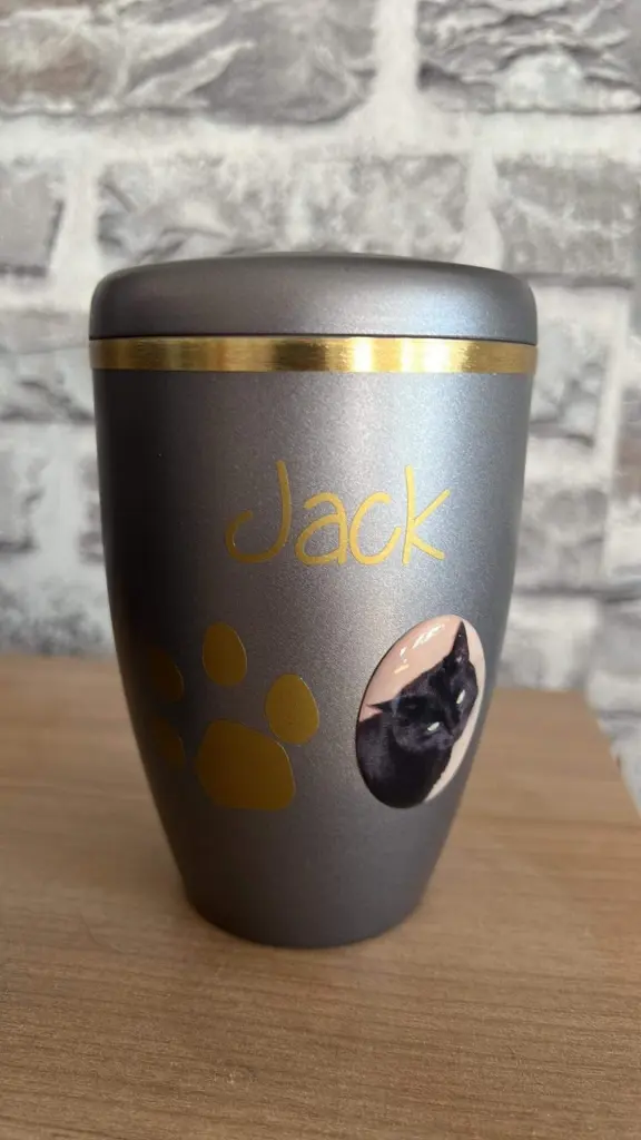 Image from Jack