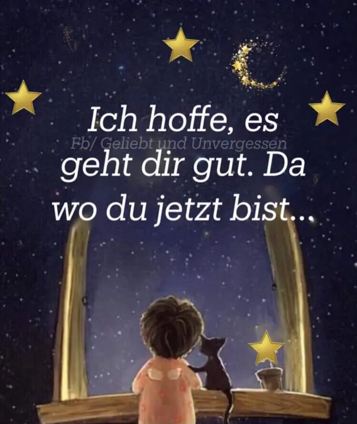 Image from Bobby