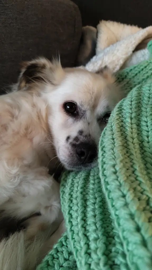 Andachtsbild von Mina