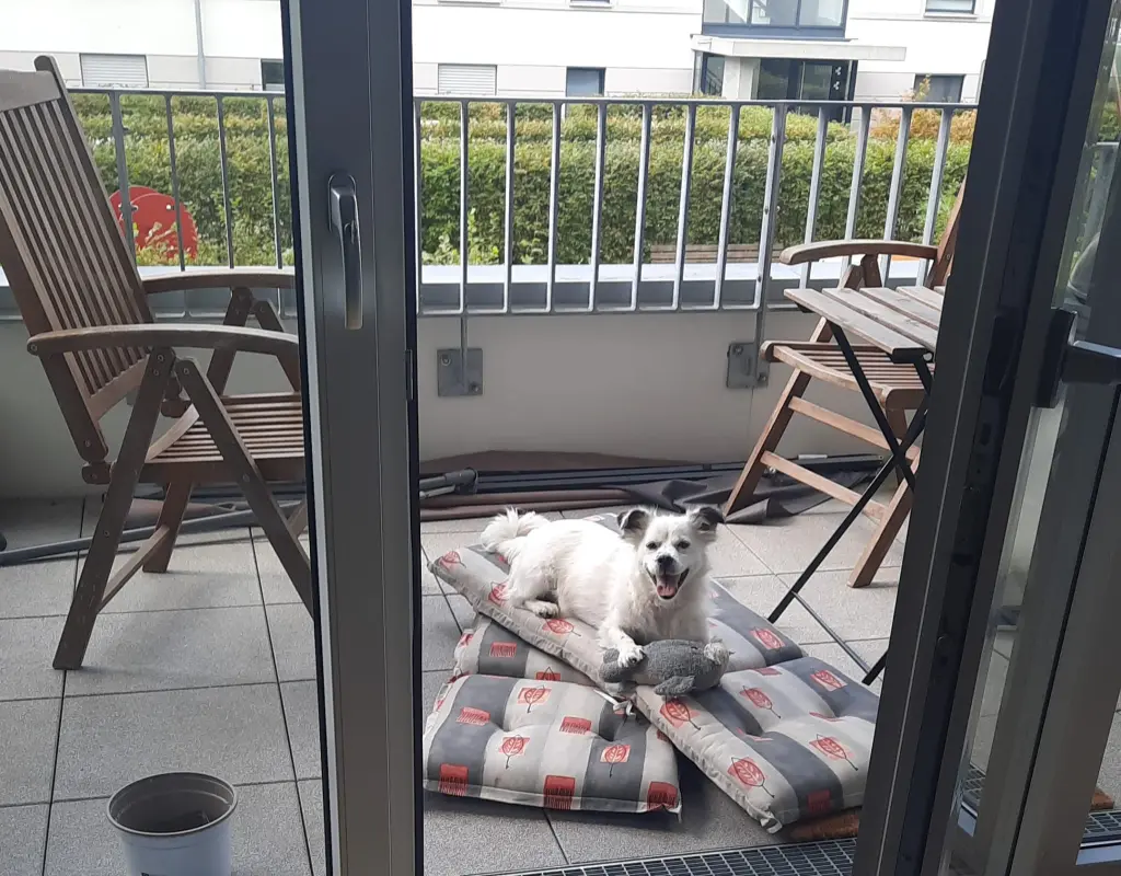 Andachtsbild von Nils