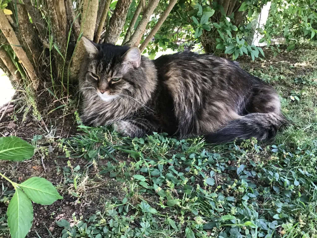 Andachtsbild von Nicole mit Roxy Mai 2009 - Mai 2023