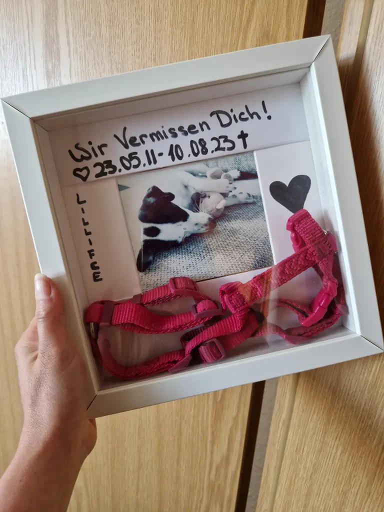 Image from Lillifee