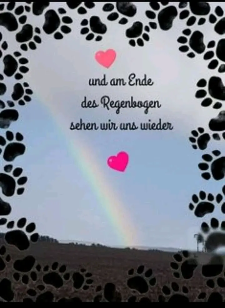 Condolence image of Julika mit Lilly im ❣️