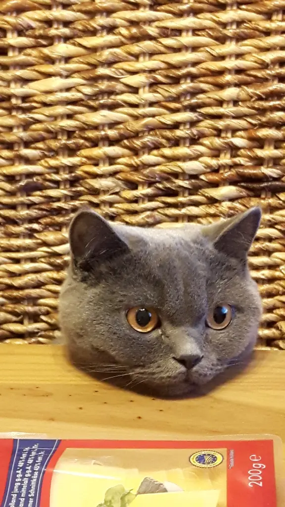 Image from Luna