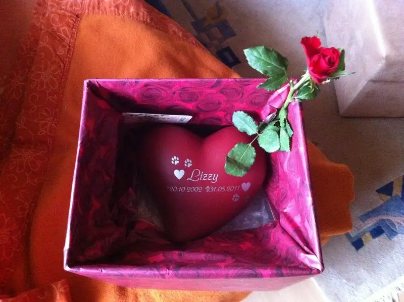 Image from Lizzy