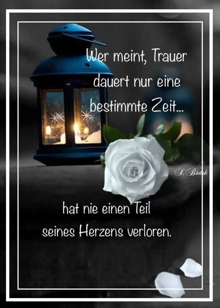 Condolence image of Dein Frauchen Berit